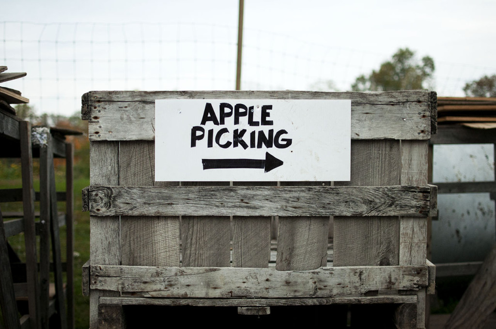 Apple Sign