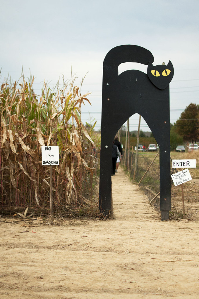 Corn Maze Entrance