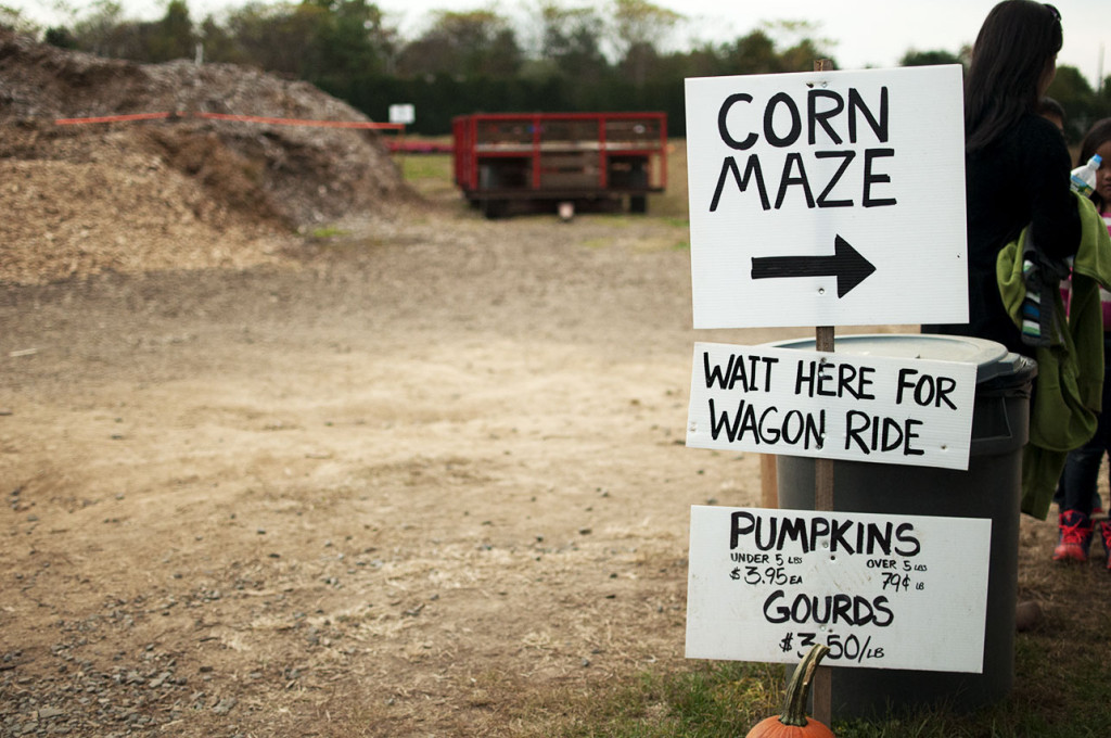 Corn Maze Sign