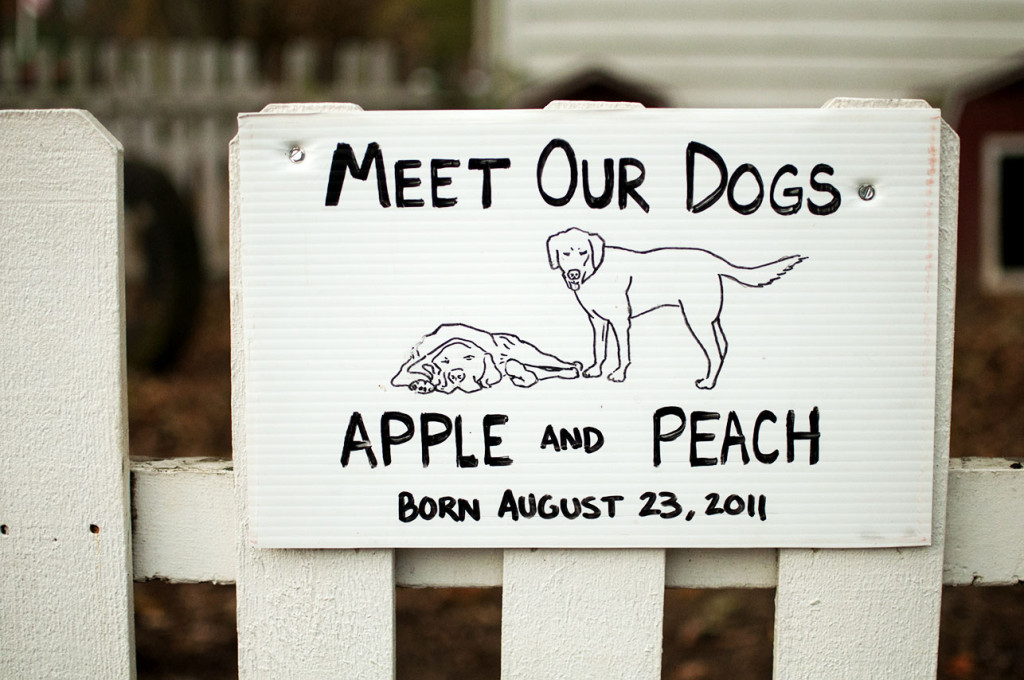 Peach Sign