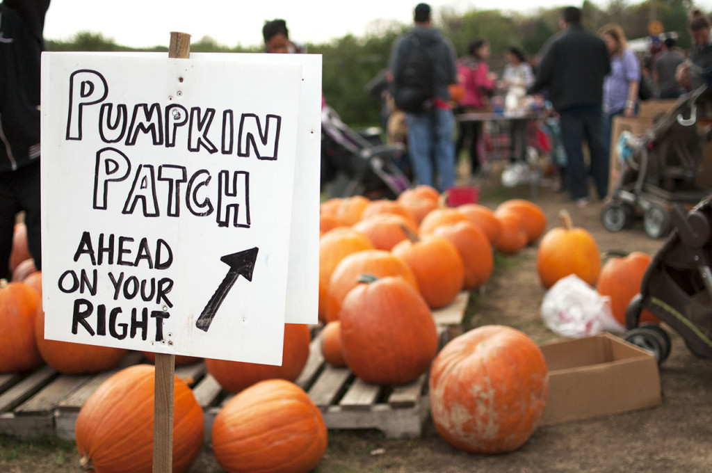 Pumpkin Patch Sign