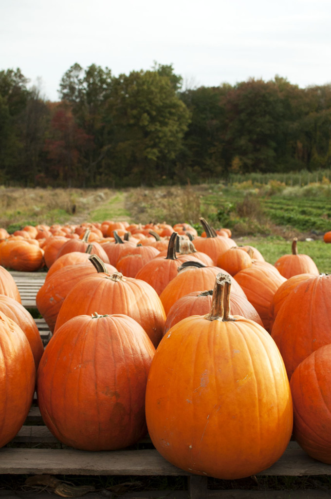 Pumpkins