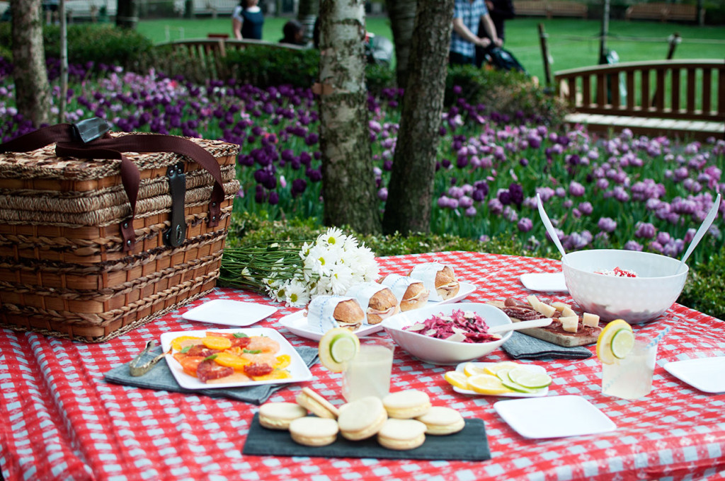 Batterypark-picnic-1