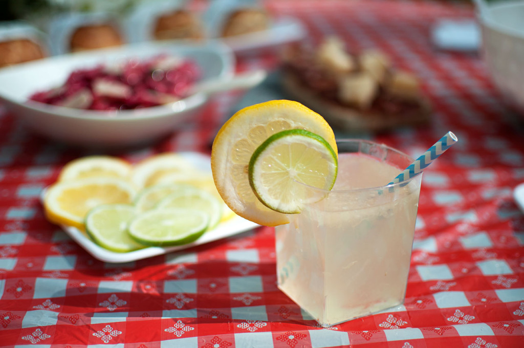 Batterypark-picnic-2