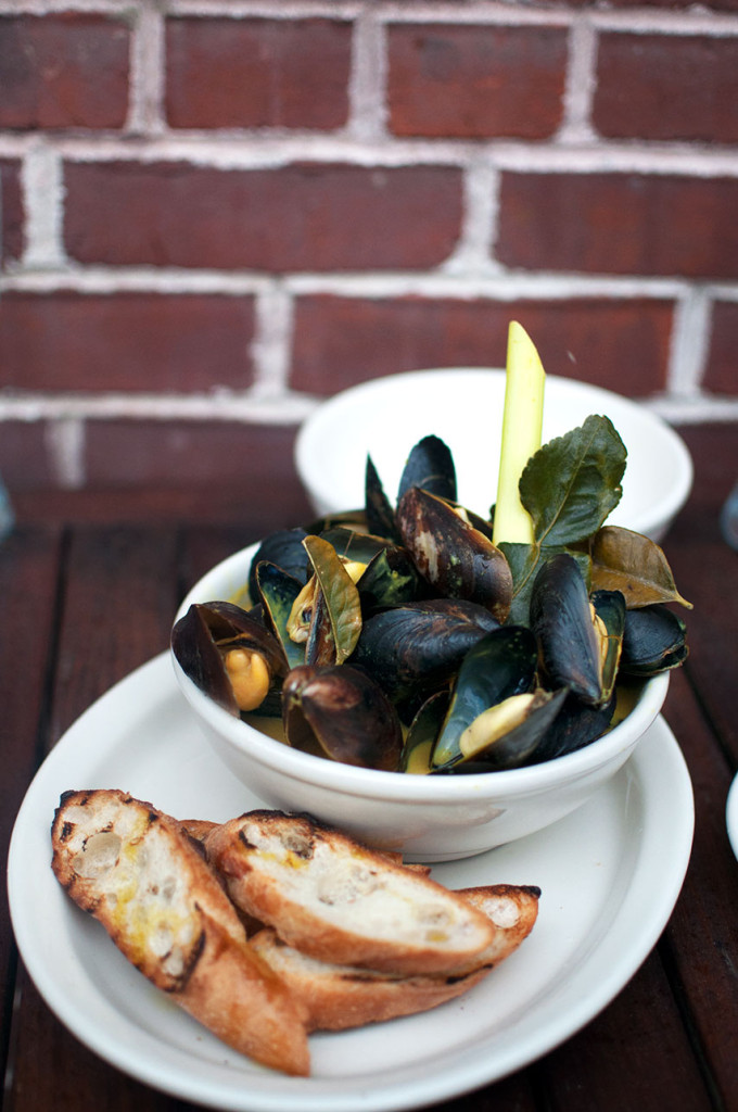 Nelson-Blue-Mussels-1