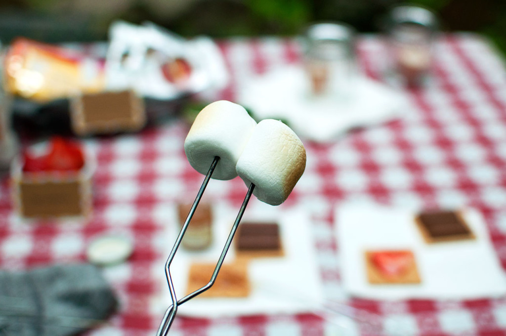 Smores-Bar-2