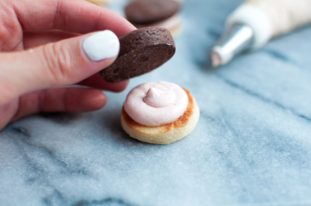 Neopolitan-Sandwich-Cookies-5