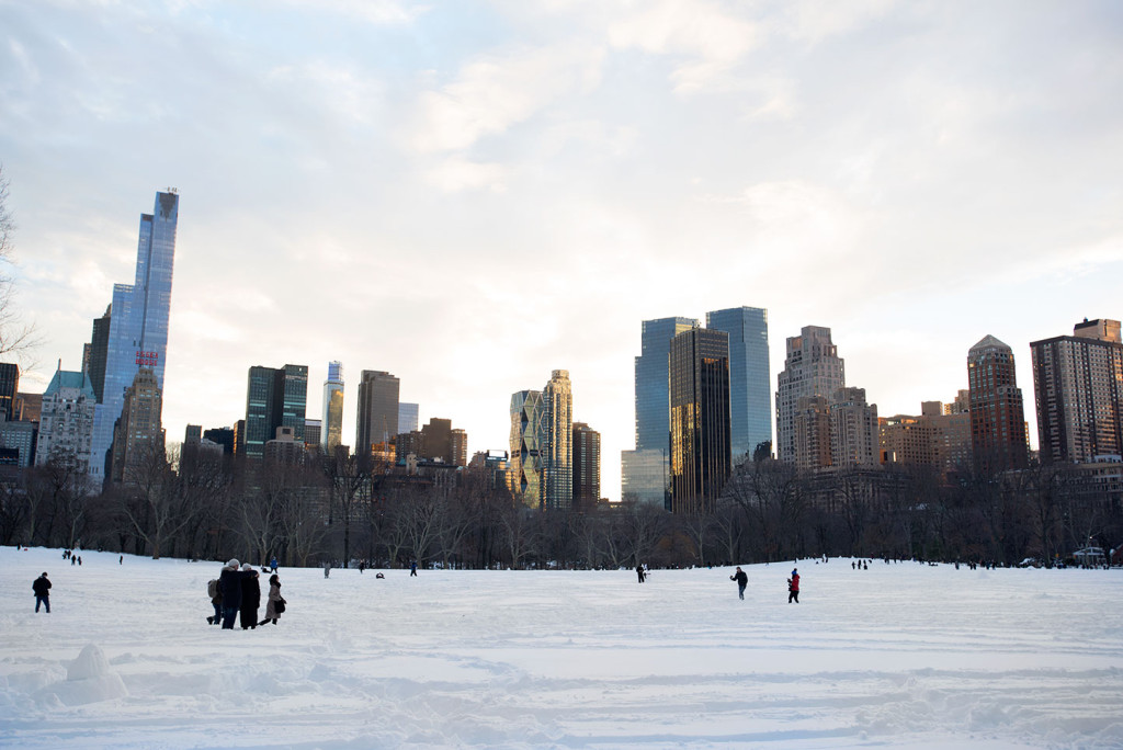 NYC-Blizzard-2016-3