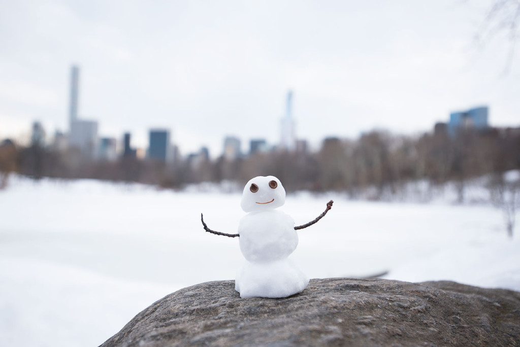 NYC-Blizzard-2016-4