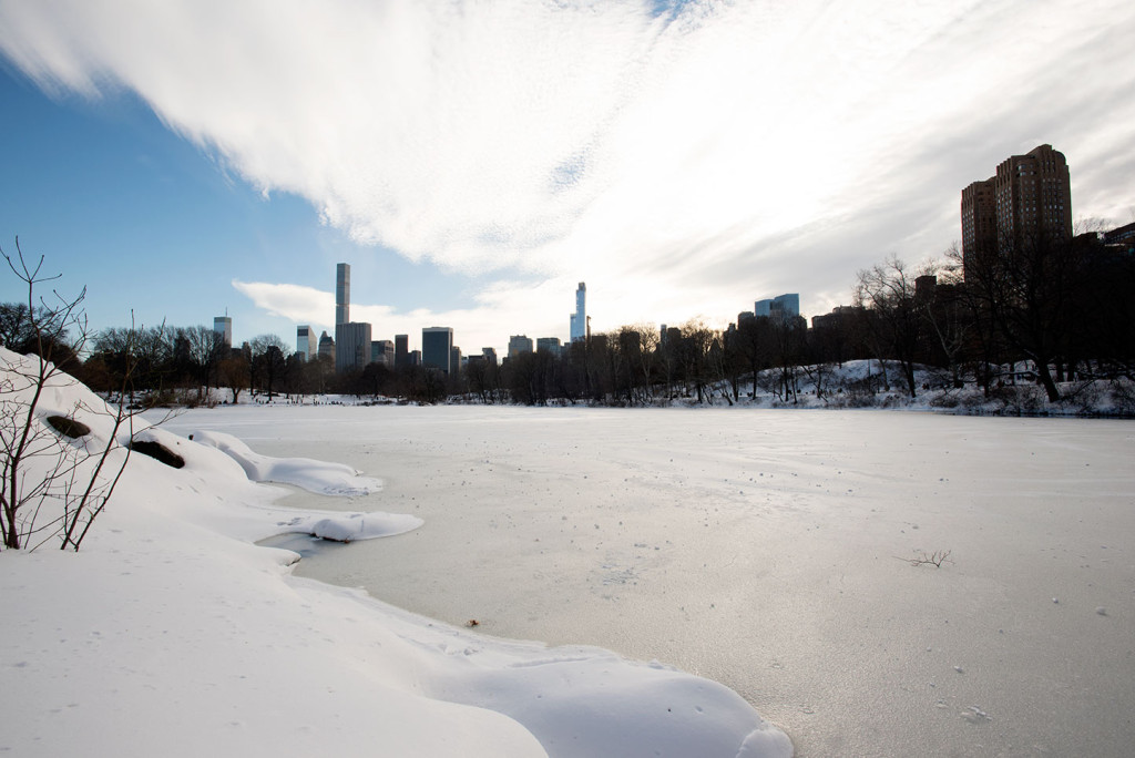 NYC-Blizzard-2016-5