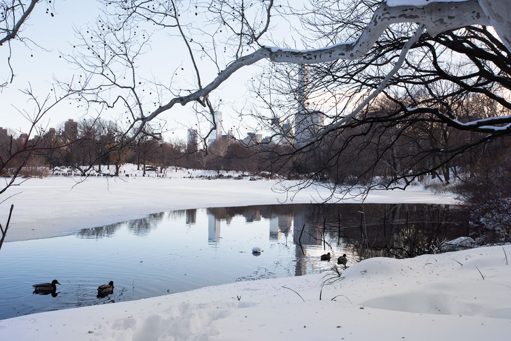 NYC-Blizzard-2016-6